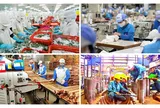 Tổ chức thực hiện Nghị quyết số 68-NQ/TW của Bộ Chính trị về phát triển kinh tế tư nhân: Thực trạng và giải pháp