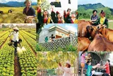 Quan điểm của Đảng và Nhà nước ta về công tác xoá đói giảm nghèo