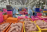 Kinh tế tư nhân - Động lực phát triển của Thành phố Hồ Chí Minh trong giai đoạn mới
