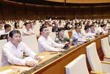Đặc trưng cơ bản của nhà nước pháp quyền xã hội chủ nghĩa Việt Nam