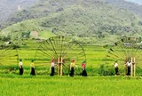 Vai trò của cộng đồng địa phương trong phát triển du lịch bền vững tại Quảng Bình