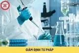 Hoàn thiện quy định của pháp luật về giám định tư pháp trong giai đoạn hiện nay