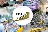 Thực trạng thu hút vốn đầu tư trực tiếp nước ngoài (FDI) tại vùng Đông Nam Bộ