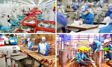 Tổ chức thực hiện Nghị quyết số 68-NQ/TW của Bộ Chính trị về phát triển kinh tế tư nhân: Thực trạng và giải pháp