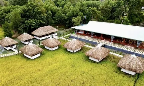 Phát triển mô hình homestay ở tỉnh Bà Rịa - Vũng Tàu