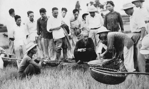 Vận dụng tư tưởng Hồ Chí Minh trong xây dựng phẩm chất liêm, chính cho đội ngũ cán bộ, đảng viên hiện nay