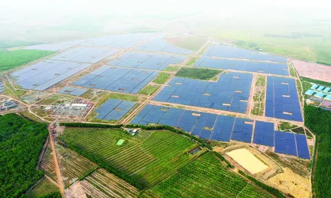 Phát triển nông nghiệp công nghệ cao gắn với nâng cấp chuỗi giá trị sản phẩm nông nghiệp chủ lực tại tỉnh Bình Phước