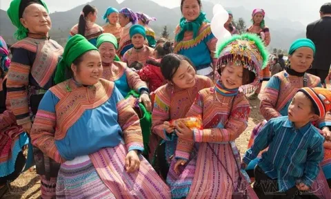 Tuyên bố và Chương trình hành động Viên về quyền con người