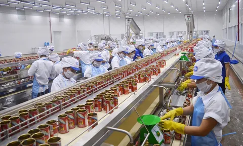 Phát triển kinh tế đối ngoại của tỉnh Nghệ An hiện nay