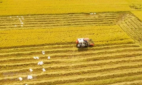 Xây dựng và phát triển kinh tế nông thôn theo tư tưởng Hồ Chí Minh