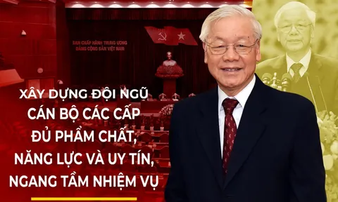 Đổi mới công tác quản lý cán bộ, công chức, viên chức trong cơ quan nhà nước đáp ứng yêu cầu cải cách hành chính và chuyển đổi số hiện nay