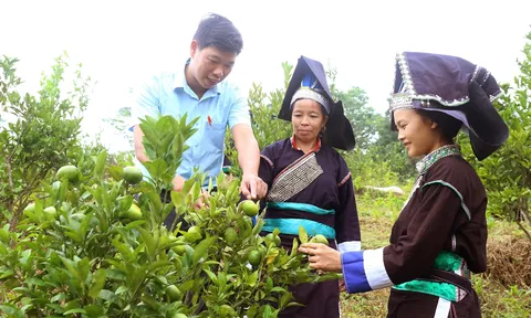 Nhận diện, đấu tranh với biểu hiện của chủ nghĩa cá nhân - Từ chỉ dẫn của Chủ tịch Hồ Chí Minh đến cuộc đấu tranh chống chủ nghĩa cá nhân của Đảng ta hiện nay