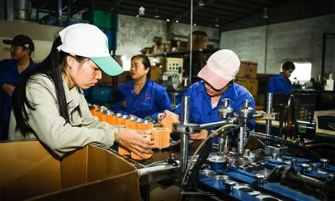 Tăng cường liên kết, phối hợp giữa hai vùng Trung Bộ và Tây Nguyên trong thúc đẩy phát triển kinh tế hiện nay