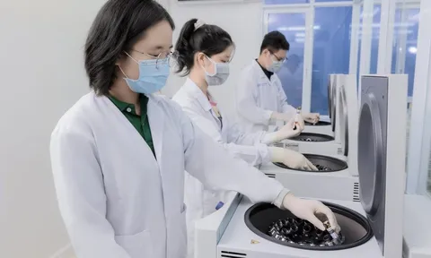 Những thách thức mới trong quản lý nền kinh tế thâm dụng dữ liệu và một số lưu ý cho Việt Nam