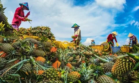 Công tác giảm nghèo bền vững ở các tỉnh đồng bằng sông Cửu Long