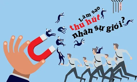 Hoàn thiện pháp luật về phát triển nguồn nhân lực và chính sách thu hút, trọng dụng nhân tài trong khu vực công ở Việt Nam hiện nay