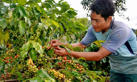 Mối quan hệ giữa tăng trưởng kinh tế với phát triển xã hội ở Việt Nam