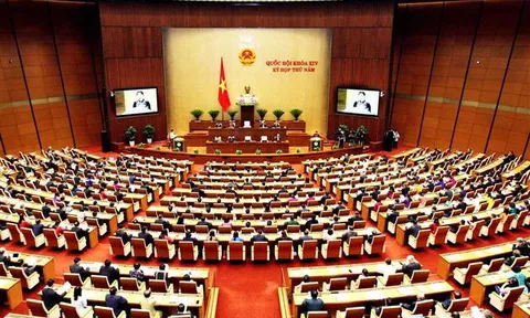 Quan điểm về quyền con người của Nhà nước pháp quyền xã hội chủ nghĩa Việt Nam