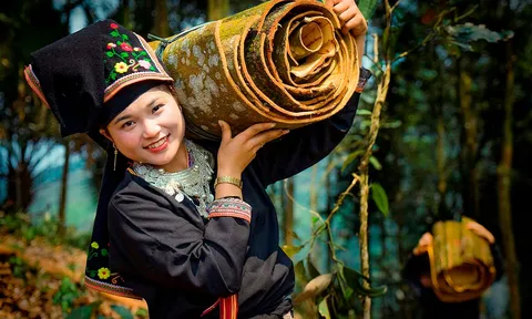 Bảo đảm an sinh xã hội cho lao động khu phi chính thức – Vấn đề và giải pháp