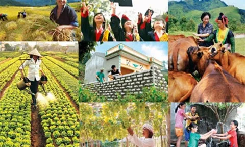 Quan điểm của Đảng và Nhà nước ta về công tác xoá đói giảm nghèo