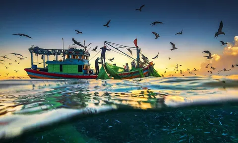 Bảo đảm an ninh môi trường để phát triển bền vững kinh tế Việt Nam