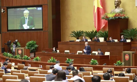 Tiếp tục xây dựng nền tư pháp Việt Nam chuyên nghiệp, hiện đại, công bằng, nghiêm minh, liêm chính, phụng sự Tổ quốc, phục vụ nhân dân
