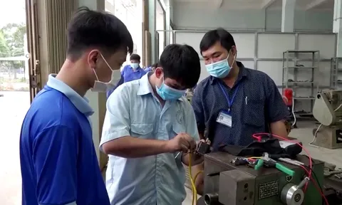 Thực trạng nâng cao chất lượng giáo dục - đào tạo nguồn nhân lực khoa học và công nghệ tỉnh Long An