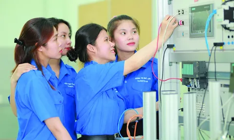 Một số giải pháp phát triển nguồn nhân lực khoa học và công nghệ tỉnh Long An