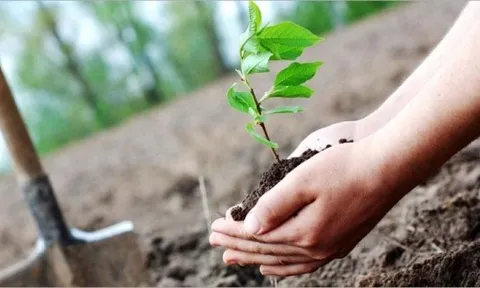 Bảo đảm an ninh môi trường với phát triển bền vững về xã hội