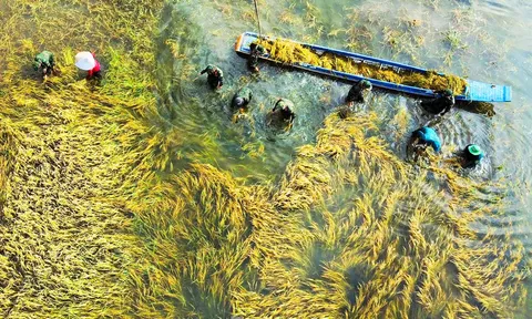 Cán bộ, đảng viên thực hiện tốt trách nhiệm nêu gương để bảo vệ nền tảng tư tưởng của Đảng