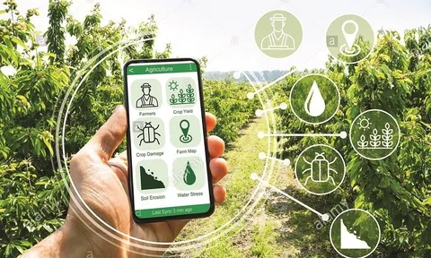 Nghị quyết số 57-NQ/TW về đột phá phát triển khoa học, công nghệ, đổi mới sáng tạo và chuyển đổi số quốc gia - Động lực phát triển nông nghiệp trong kỷ nguyên mới