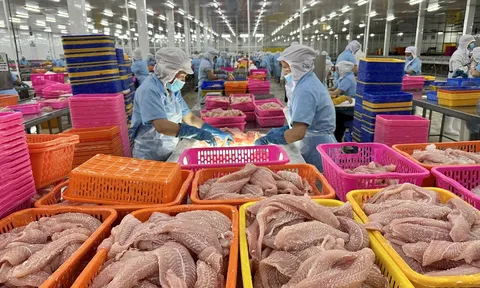Kinh tế tư nhân - Động lực phát triển của Thành phố Hồ Chí Minh trong giai đoạn mới