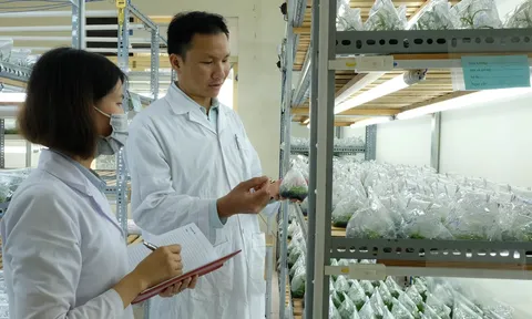Thực trạng xây dựng kế hoạch, quy hoạch phát triển nguồn nhân lực khoa học và công nghệ tỉnh Long An
