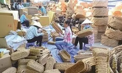 Vai trò của kinh tế tập thể ở Việt Nam