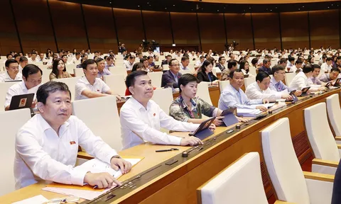 Đặc trưng cơ bản của nhà nước pháp quyền xã hội chủ nghĩa Việt Nam