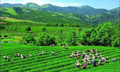 Tăng trưởng xanh theo tiếp cận ngành, nhóm ngành ưu tiên của một số nước trên thế giới