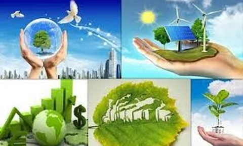 Kinh nghiệm quản lý tài nguyên thiên nhiên, bảo vệ môi trường của một số quốc gia trên thế giới - Bài học cho Việt Nam