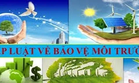 Hoàn thiện pháp luật bảo vệ môi trường đáp ứng yêu cầu phát triển kinh tế xanh trong bối cảnh hiện nay ở Việt Nam