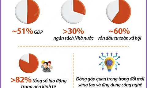 Phát triển kinh tế tư nhân theo định hướng xã hội chủ nghĩa: Nhận thức và giải pháp