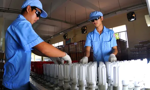 Phát triển thị trường hàng hóa xanh ở Việt Nam