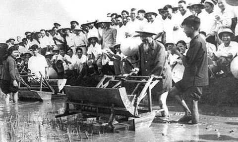 Một số nội dung về phát triển kinh tế trong tư tưởng Hồ Chí Minh và ý nghĩa trong tình hình hiện nay