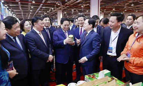 Thúc đẩy liên kết kinh tế trong quy hoạch phát triển vùng