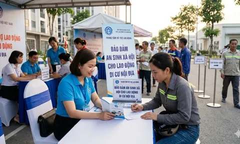Dự báo di cư lao động khi hình thành khu thương mại tự do - Thách thức và giải pháp