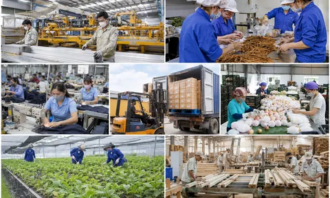 Biến đổi cơ cấu giai cấp công nhân ở tỉnh Lào Cai hiện nay: Thực trạng và giải pháp