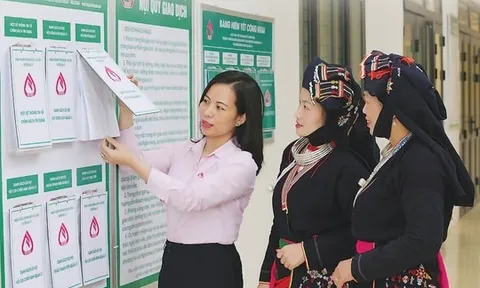 Tăng cường quản lý phát triển trong lĩnh vực tín dụng chính sách xã hội ở Việt Nam hiện nay