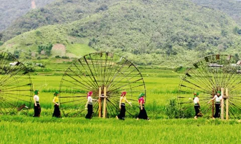 Vai trò của cộng đồng địa phương trong phát triển du lịch bền vững tại Quảng Bình