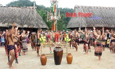 Thực hiện chính sách an sinh xã hội đối với đồng bào dân tộc thiểu số tỉnh Bình Phước: Thực trạng và giải pháp