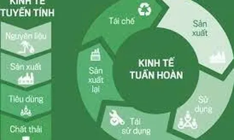 Phát triển kinh tế tuần hoàn gắn với bảo tồn văn hóa bản địa và phát triển bền vững tại tỉnh Tuyên Quang
