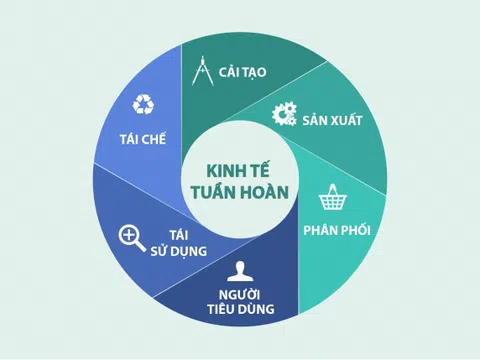 Mô hình kinh tế tuần hoàn với phát triển nền kinh tế xanh ở Việt Nam