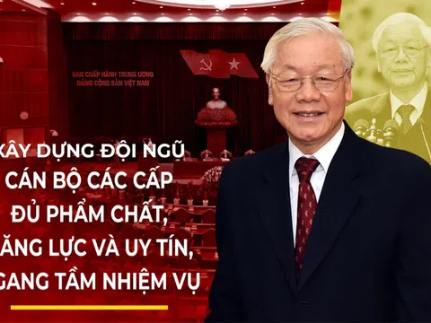 Đổi mới công tác quản lý cán bộ, công chức, viên chức trong cơ quan nhà nước đáp ứng yêu cầu cải cách hành chính và chuyển đổi số hiện nay